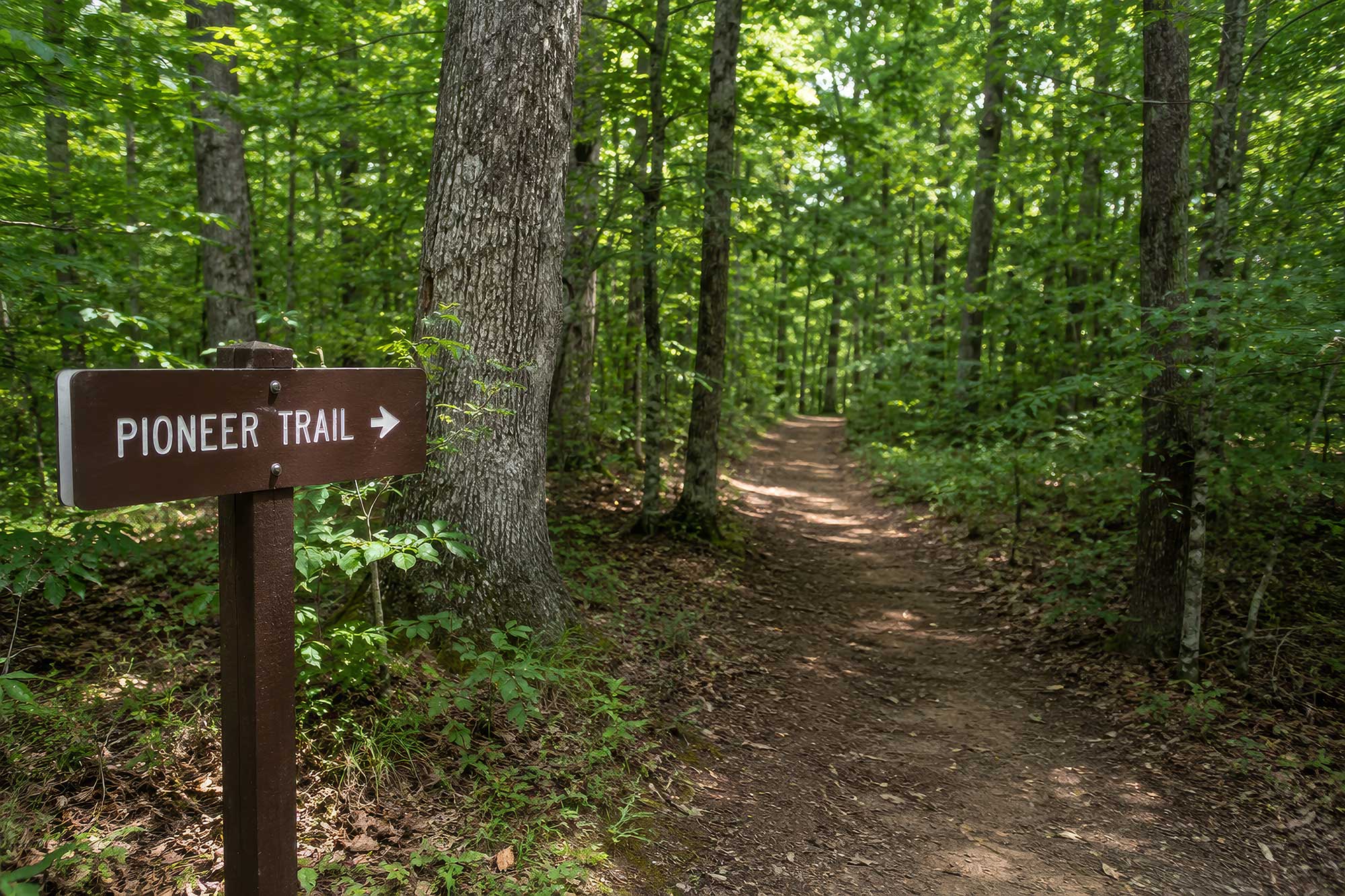 Pioneer Trail at Cumberland Mountain State Park