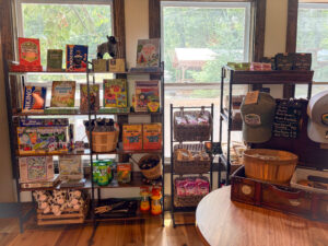 kids items and games at sprout general store
