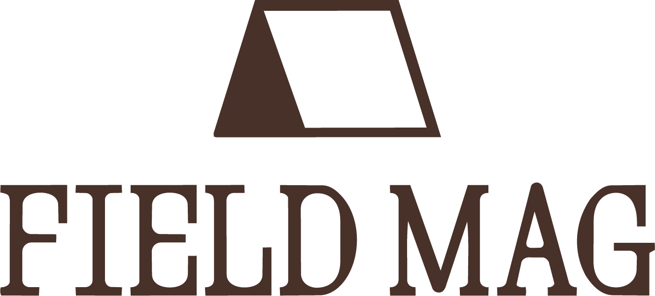 Field Mag